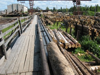 Люкшудьинский леспромхоз, село Люкшудья. Пиломатериалы, круглый лес